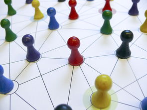 爱游戏app-中国篮球教练员战术执行力提升路径分析，中国篮球教练员等级划分标准